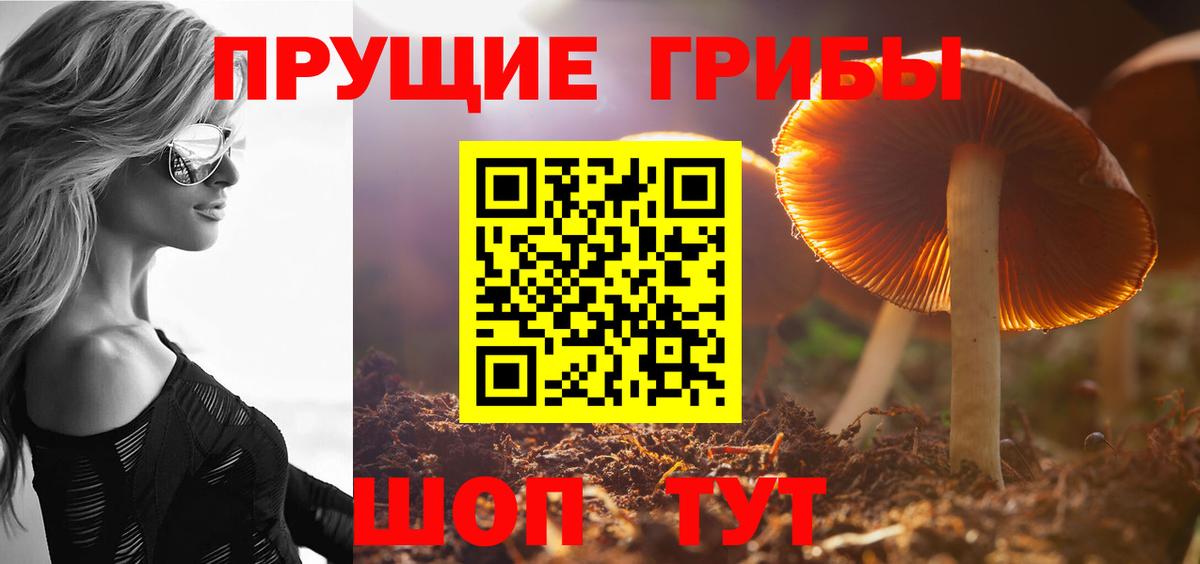 Галлюциногенные грибы MAGIC MUSHROOMS  Псилоцибиновые грибы Psilocybe  Королёв  Вход с VPN 