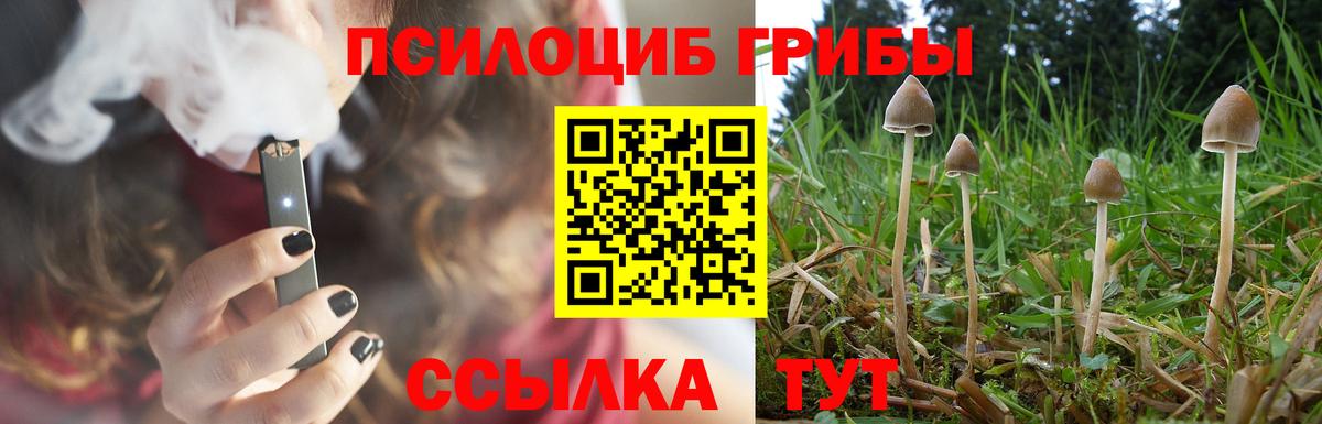 Псилоцибиновые грибы мицелий Королёв